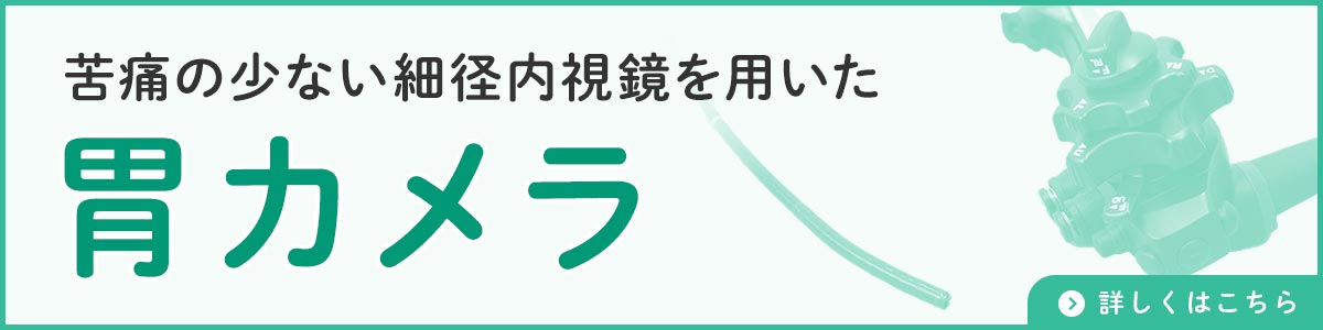 苦痛の少ない細径内視鏡を用いた胃カメラ
